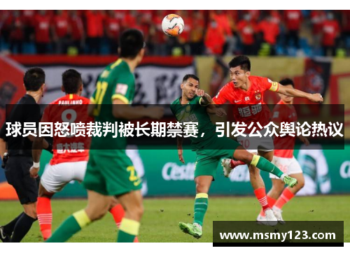 球员因怒喷裁判被长期禁赛,引发公众舆论热议 球员因怒喷裁判被长期禁赛,引发公众舆论热议